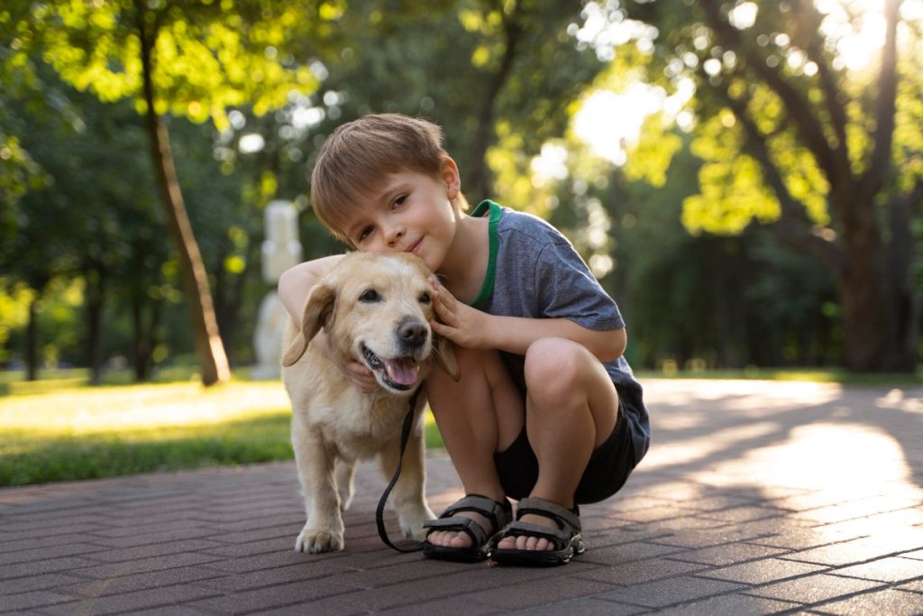 Seguros de Mascotas: Protege a tu Compañero de Vida
